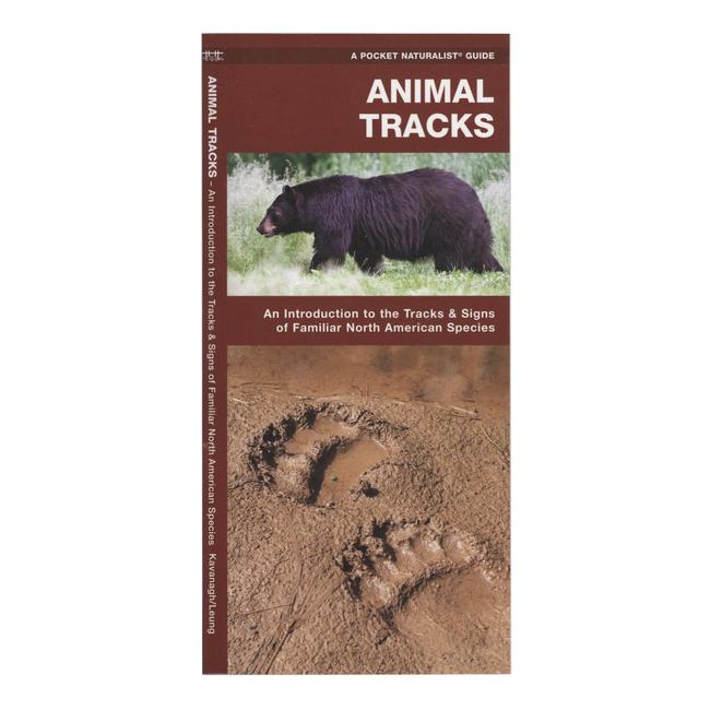 Animal Tracks An Introduction to the Tracks Signs of Familiar North American Species
