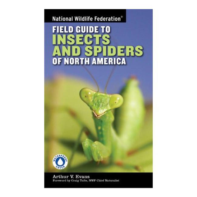 Field Guide To Insects and Spiders of North America
