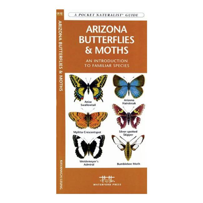 Pocket Naturalist Arizona Butterflies Moths