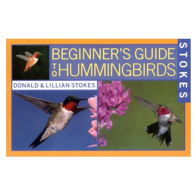 Beginners Guide to Hummingbirds
