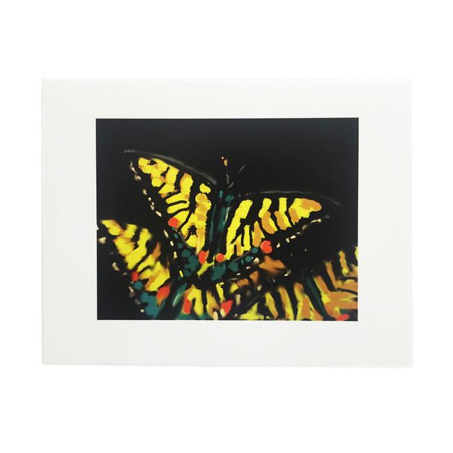 Life Is a Doodle Swallowtail Butterfly Blank Notecard