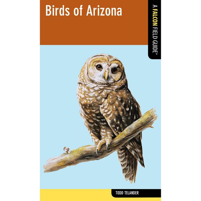 Birds of Arizona (Falcon Guide)