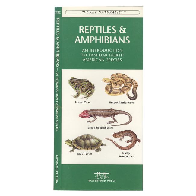 Pocket Naturalist Reptiles Amphibians