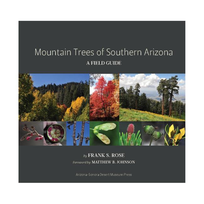 Mountain Trees of Southern Arizona A Field Guide