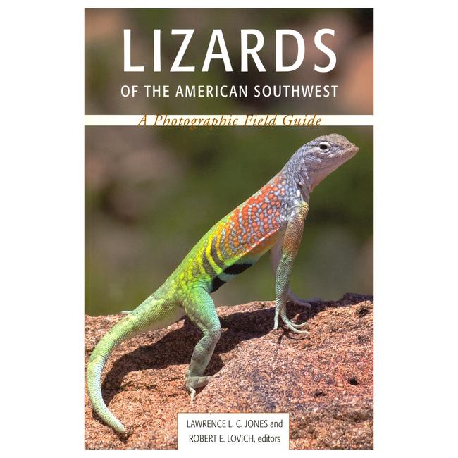 Lizards of the American Southwest