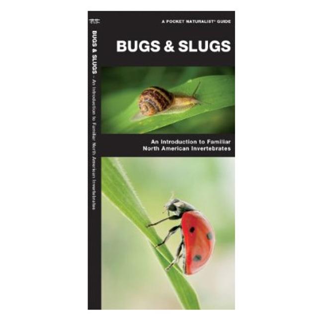 Bugs Slugs An Introduction to Familiar North American Invertebrates