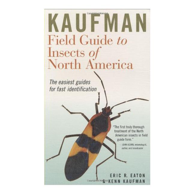 Field Guide To Insects of North America