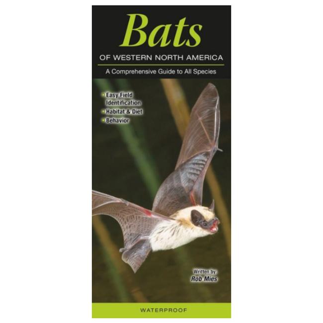 Bats Of Western North America A Comprehensive Guide To All Species