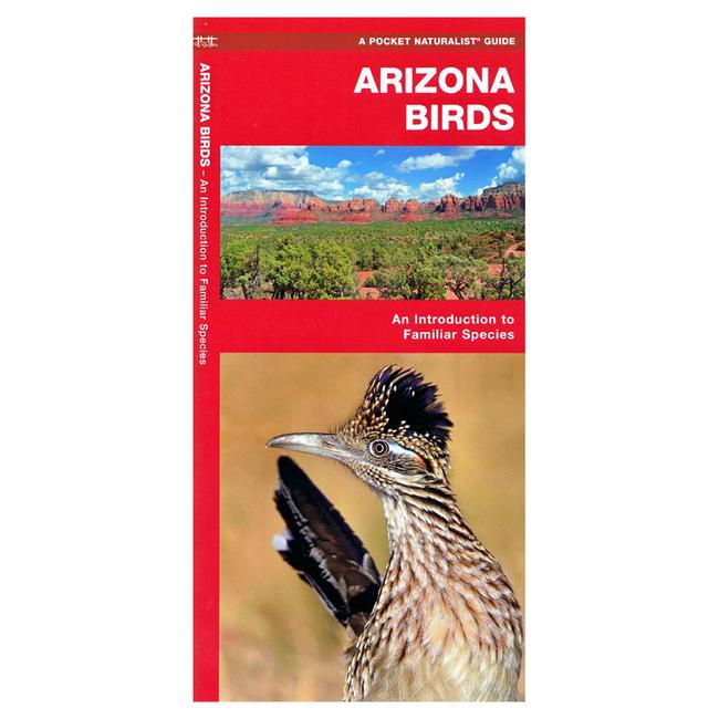 Pocket Naturalist Arizona Birds