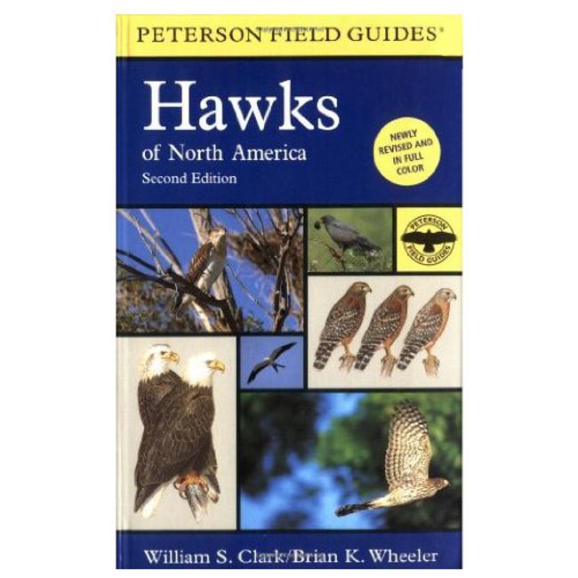 Field Guide to Hawks of North America Peterson