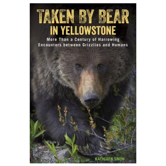 Taken By Bear In Yellowstone National Park A Century Of Harrowing Encounters Between Grizzlies And Humans