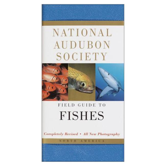 Field Guide To Fishes National Audubon Society