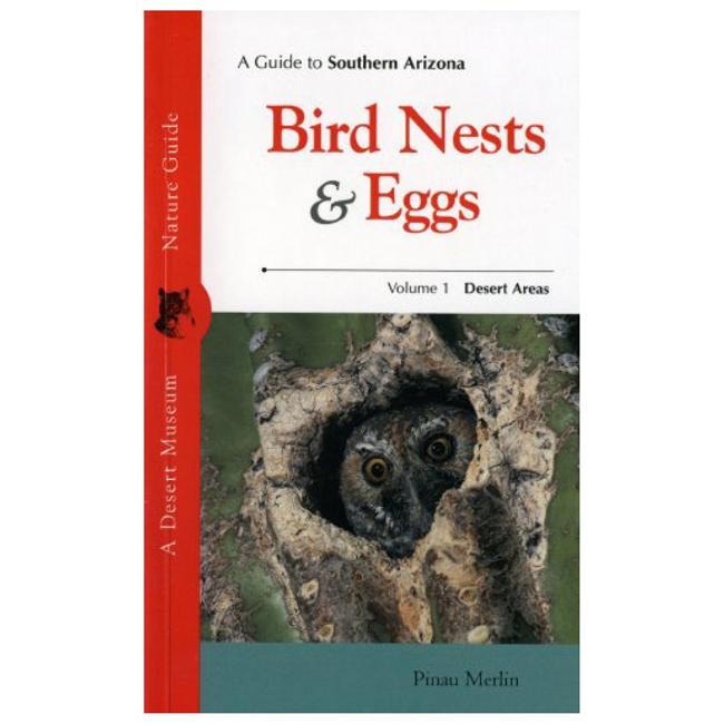 A Guide to Southern Arizona Bird Nests Eggs