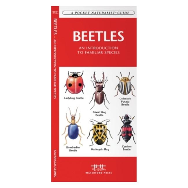 Beetles An Introduction to Familiar North American Species