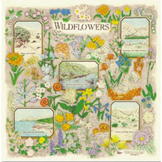 Wildflowers Bandana
