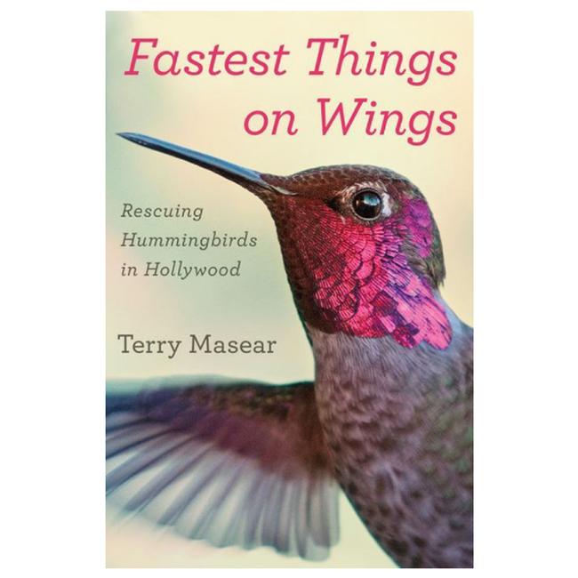 Fastest Things On Wings Rescuing Hummingbirds In Hollywood