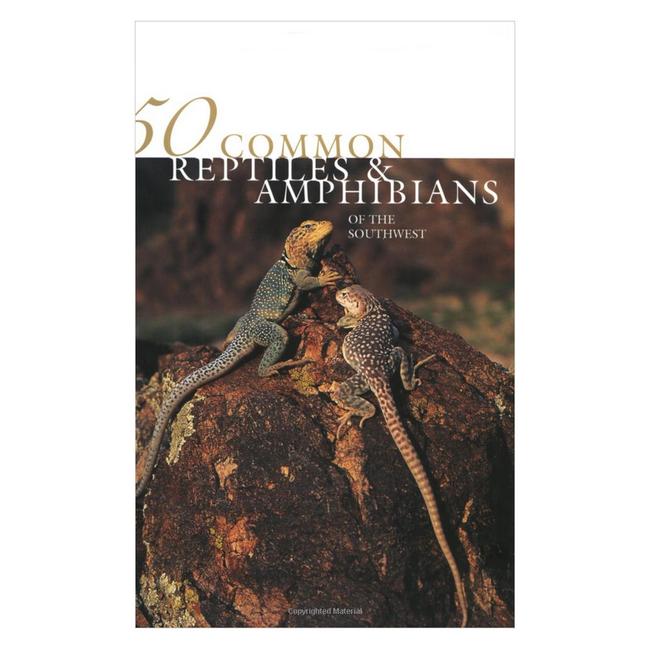 50 Common Reptiles Amphibians of the Southwest