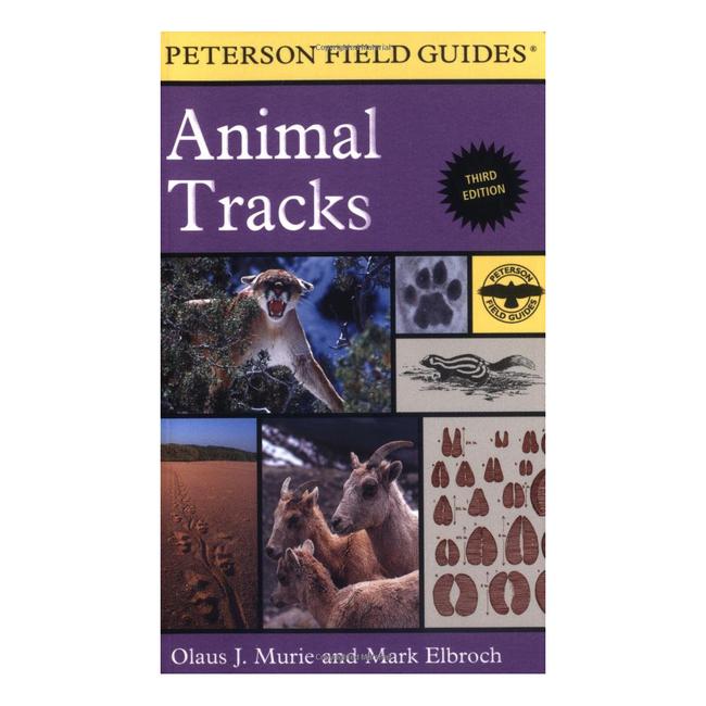 Field Guide To Animal Tracks Peterson