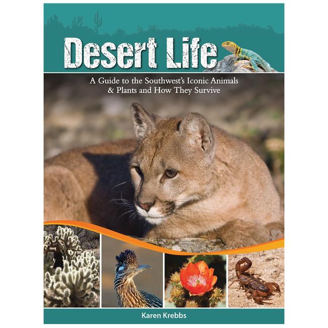 Desert Life A Guide To The Southwest's Iconic Animals & Plants And How They Survive