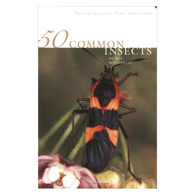 50 Common Insect of the Southwest