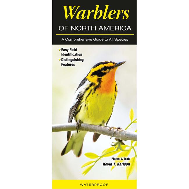 Warblers of North America a Comprehensive Guide To All Species