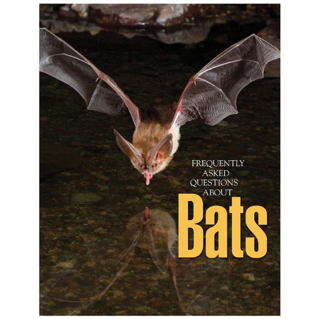 Frequently Asked Questions About Bats