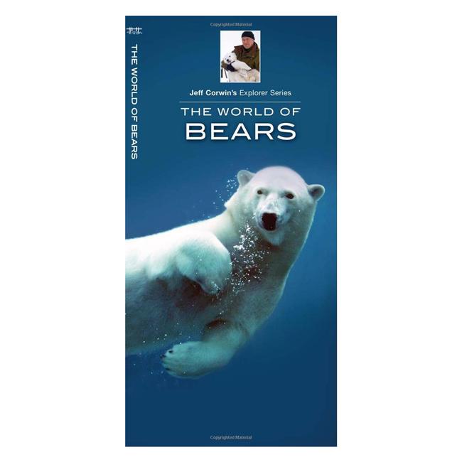 Jeff Corwin Explorer Series The World of Bears