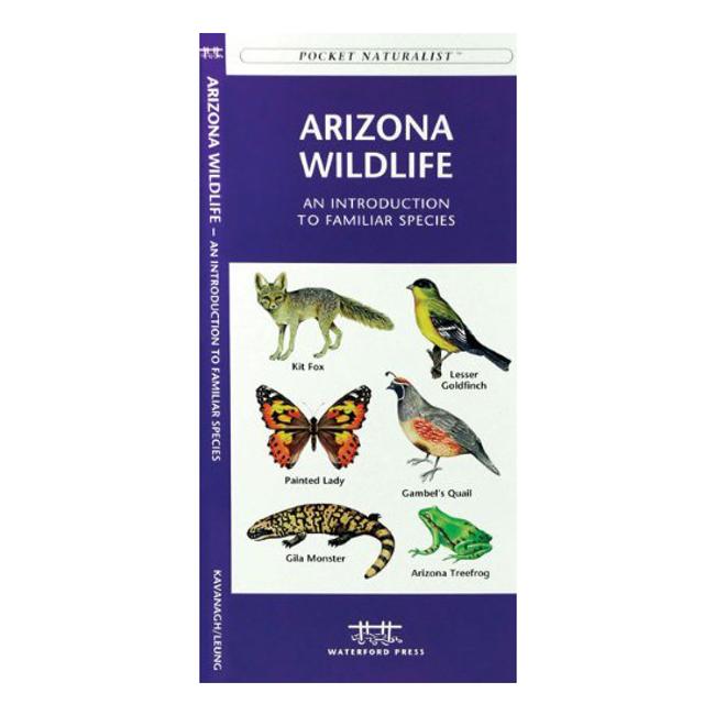 Pocket Naturalist Arizona Wildlife