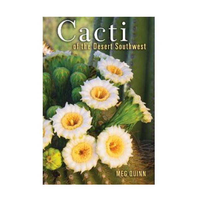 Cacti Desert Southwest