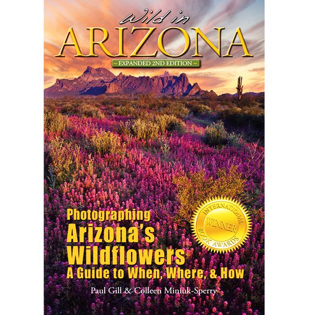 Wild In Arizona Photographing Arizona'S Wildflowers