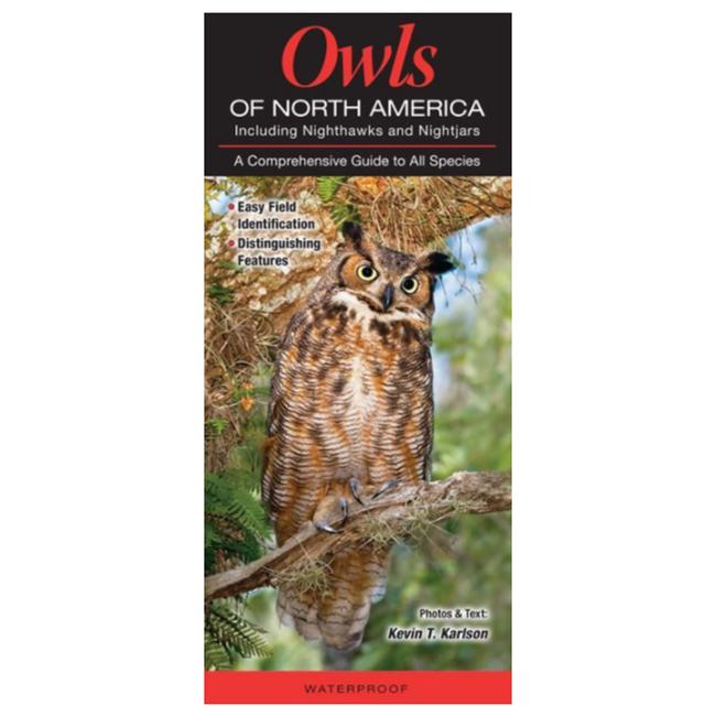 Owls Of North America Including Nighthawks And Nightjars A Comprehensive Guide To All Species