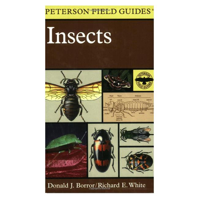 Field Guide To Insects Peterson