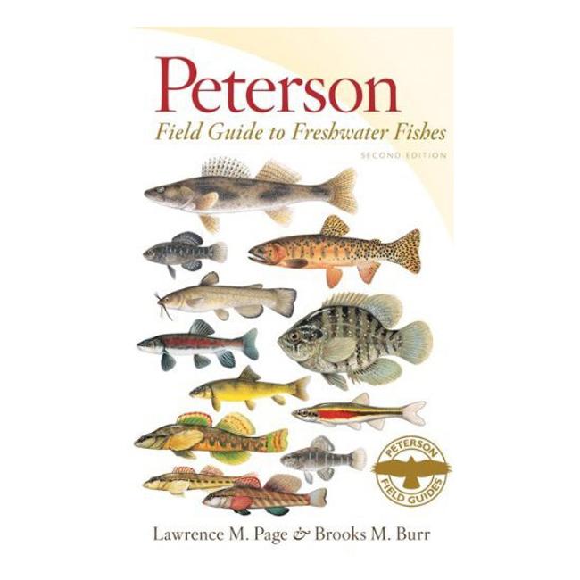 Field Guide To Freshwater Fishes Peterson