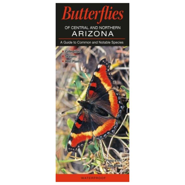 Butterflies Of Central And Northern Arizona A Guide To Common And Notable Species